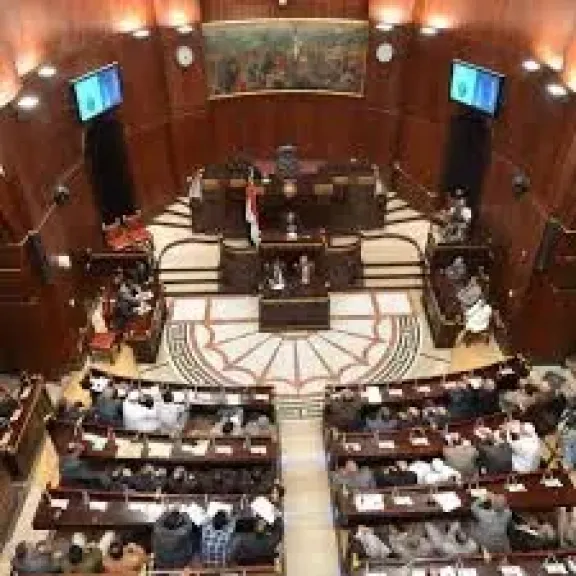 الخارجية لـ«نواب الشيوخ»: اعتداء إيران على دول الخليج مرفوض