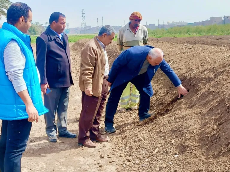 محافظ أسيوط يشدد على المتابعة المستمرة للتخلص الآمن من المخلفات الزراعية