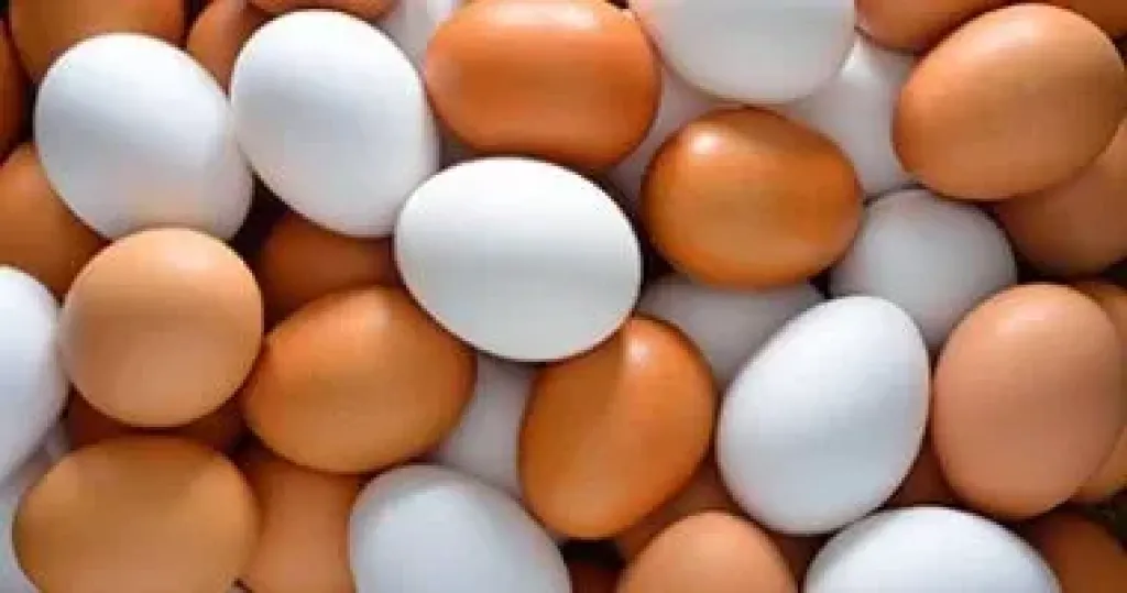 التموين تطرح بيض المائدة بمنافذ المجمعات الاستهلاكية بـ130 جنيها للطبق