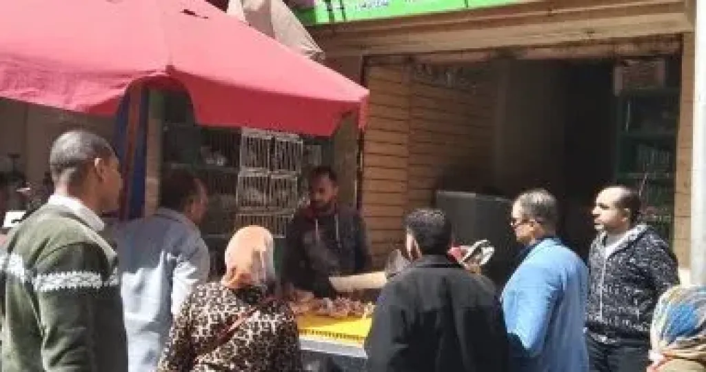 حملة بالأسواق للتوعية بخطورة مخلفات الدواجن والأسماك وغرامات للتداول