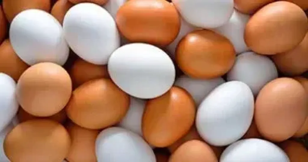 تبدأ من 74 جنيها، سعر كرتونة البيض ثاني أيام العيد ببورصة الدواجن