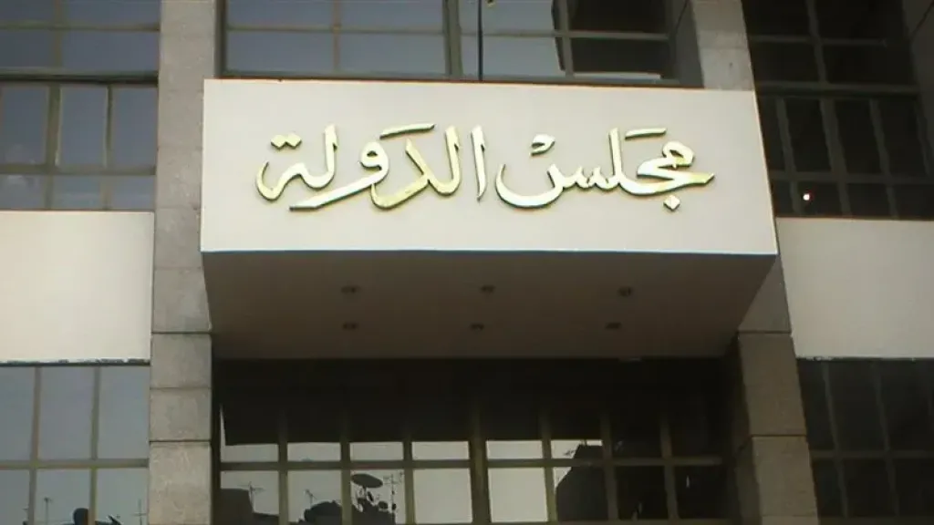 فتوى مجلس الدولة: استمرار الإعفاءات الضريبية لهيئة التأمين الاجتماعى