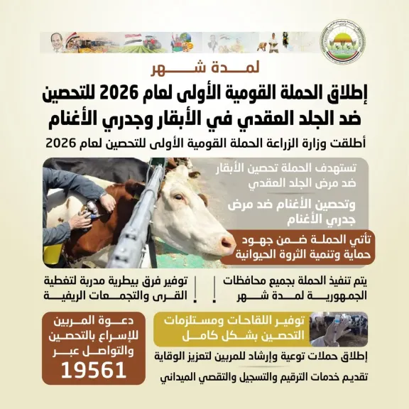 ”الزراعة” تطلق الحملة القومية الأولى لعام 2026 للتحصين ضد الجلد العقدي في الأبقار وجدري الأغنام لمدة شهر