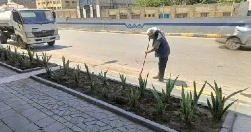 تكثيف أعمال التجميل بعدد من الشوارع فى حى العجوزة لتحسين الصورة البصرية