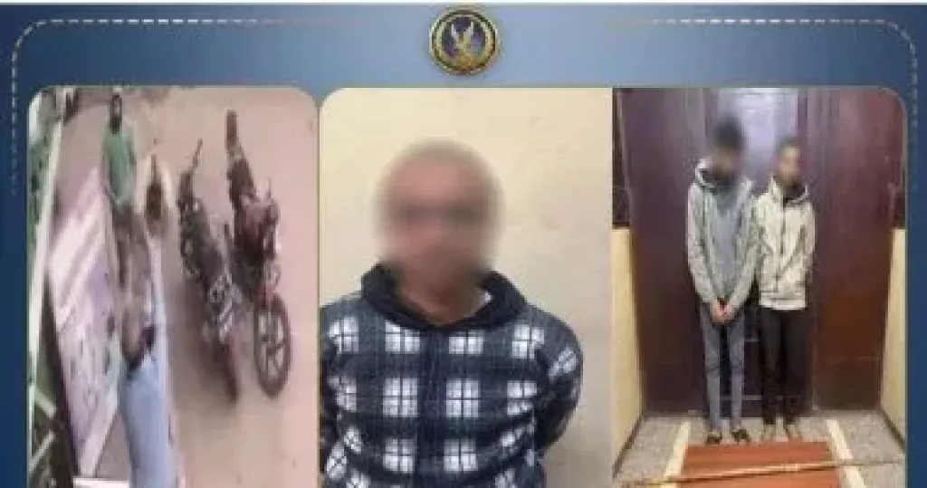 خناقة نسايب داخل صيدلية.. كشف ملابسات فيديو التعدي على عامل