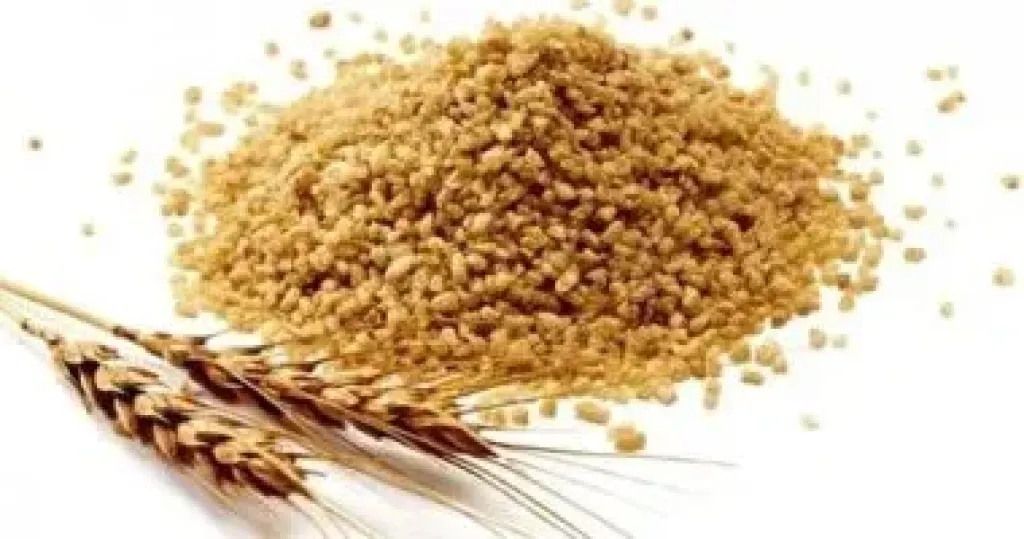 مركز المناخ يصدر خريطة عاجلة لرى القمح فى المحافظات بسبب نشاط الرياح