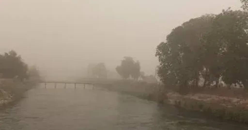 الأرصاد: منخفض جوى يصاحبه فرص سقوط أمطار الأربعاء والخميس