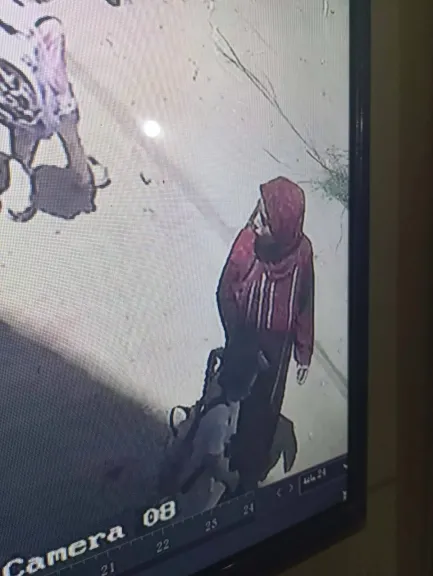 الإعدام للمتهمة بقتل الطفلة جومانا في بني سويف