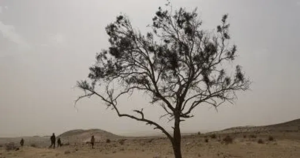 تحذير لمرضى الحساسية.. عواصف ترابية تضرب المحافظات اليوم