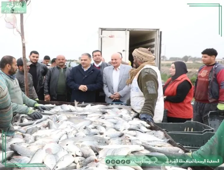 محافظ الشرقية يفتتح موسم صيد الأسماك بمزرعة العباسة بابوحماد