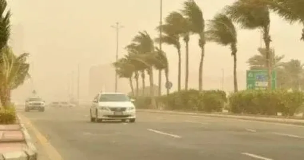 أمطار ورياح تضرب الآن مناطق من القاهرة الجديدة