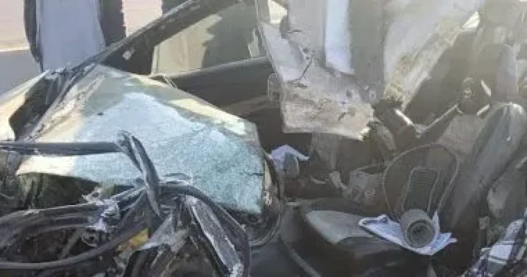 تهشم سيارة إثر سقوط شجرة عليها فى حدائق القبة