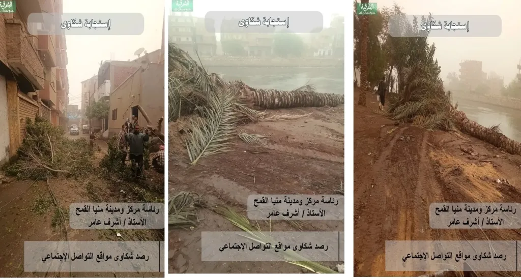 محافظ الشرقية سرعة التعامل مع الأشجار والأعمدة المتهالكة ورفعها فوراً