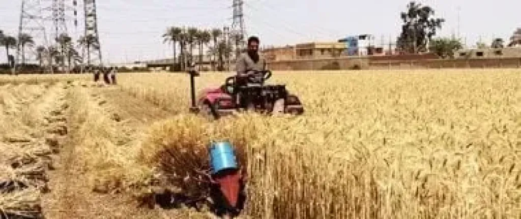 ”الزراعة” تنشر تقريرا بأبرز أنشطة وجهود معامل ومعاهد ”البحوث الزراعية”