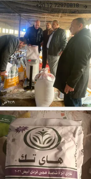 زراعة وتموين الشرقية يضبطان مصنع مخالف لإنتاج وتعبئة تقاوي الذرة المغشوشة بفاقوس