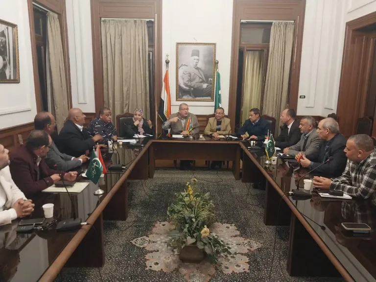 إتحاد المهنيين الوفديين يناقش خطة العمل ويعلن تشكيل مجلس تنفيذي وشعب لكل نقابه