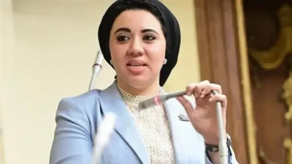 رئيس مجلس الشيوخ يهنئ النائبة أميرة صابر بانتخابها في المحافل الدولية