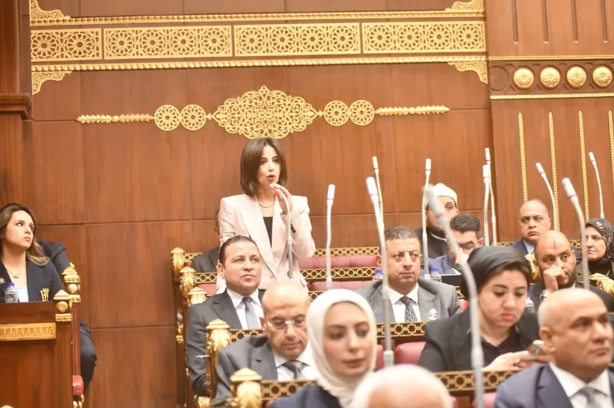 النائبة يوستينا رامي: قانون حماية المنافسة يعيد رسم العلاقة بين الدولة والسوق.. ويحمي المواطن والمستثمر