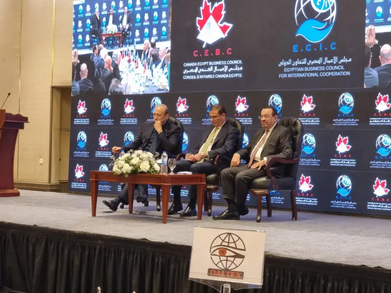 عبد السلام الجبلي: المشروعات القومية ساعدت في امتصاص تداعيات الأحداث الإقليمية علي الأمن الغذائى