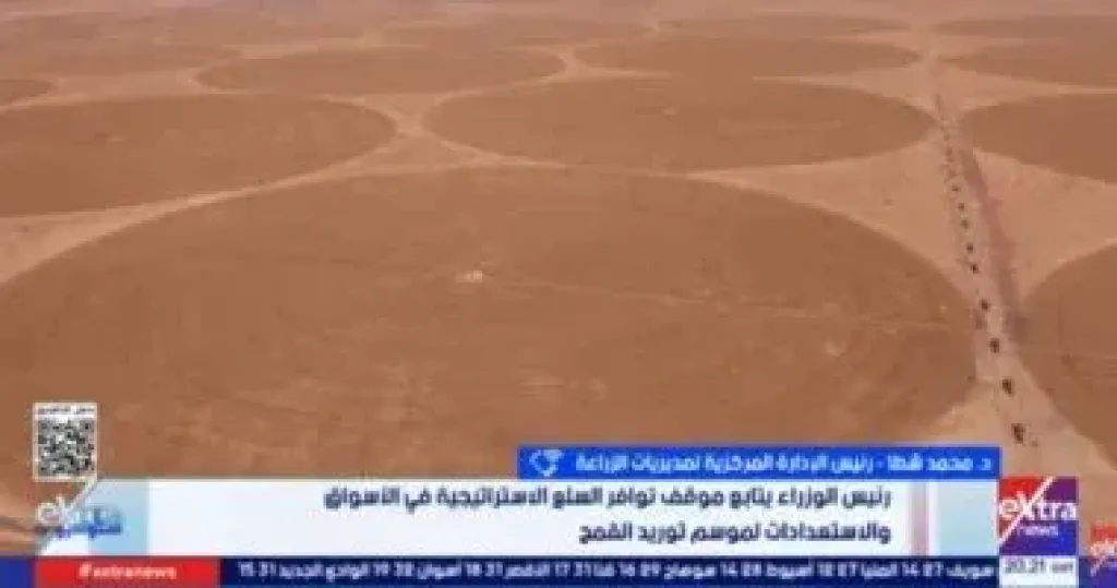 الزراعة: مصر تستهدف توريد 5 ملايين طن قمح وتوفر مخزونا لـ 7 أشهر