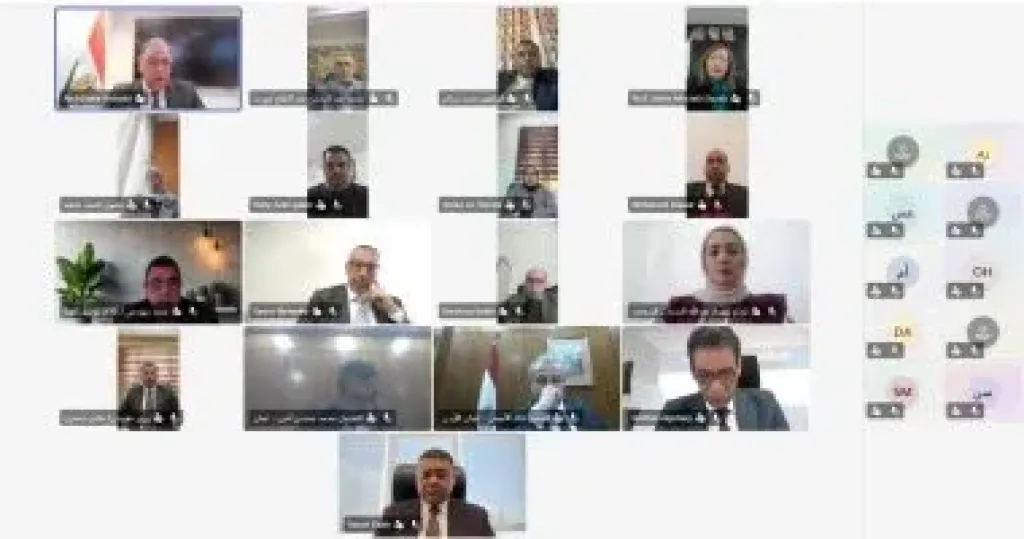 وزير الخارجية يشارك فى الاجتماع الافتراضي مع أبناء الجالية المصرية بالأردن