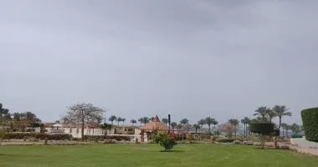 الطقس غدا مائل للحرارة نهارا وشبورة وأمطار ببعض المناطق والعظمى بالقاهرة 24