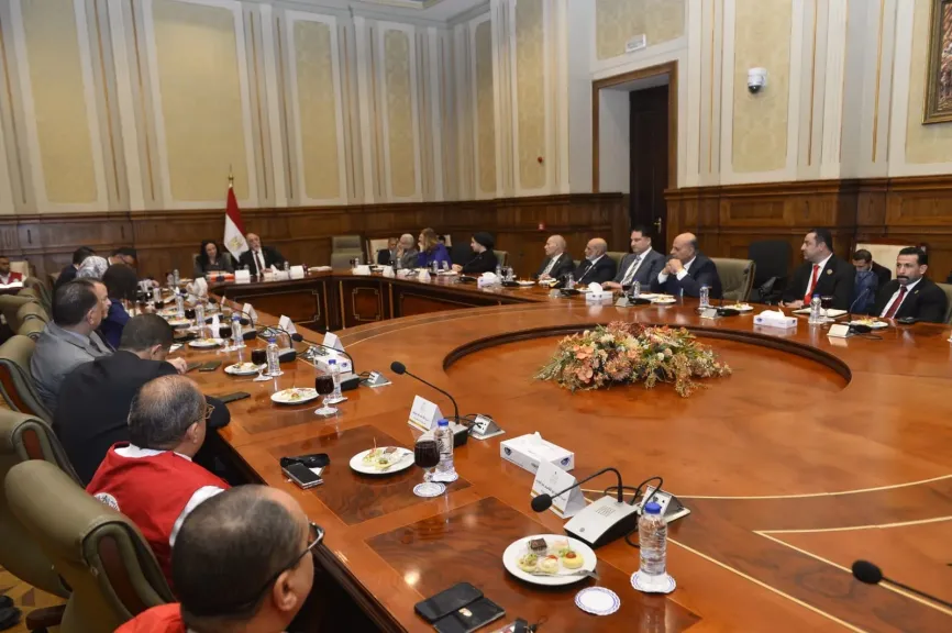 القصبي: توجيهات عبد الفتاح السيسي و”مسافة السكة” تقود قوافل مصر الإنسانية لدعم الأشقاء العرب