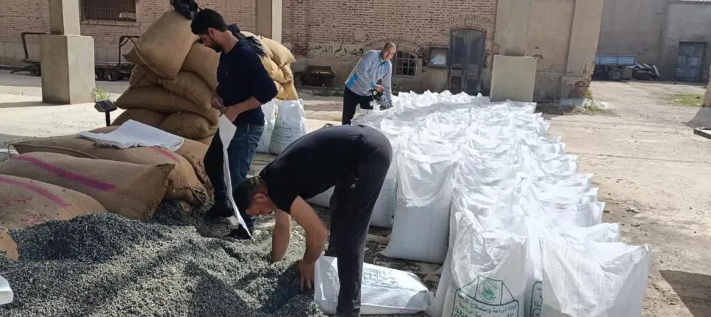 ”الزراعة”: تجهيز أكثر من 15 ألف شيكارة قطن من تقاوي المزارع المعاونة تمهيدا لتوزيعها على المزارعين