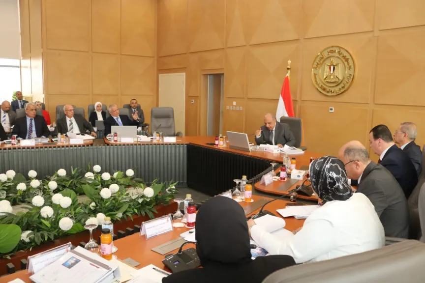 عصمت: استمرار العمل على تحسين جودة التغذية والحفاظ على استدامة التيار