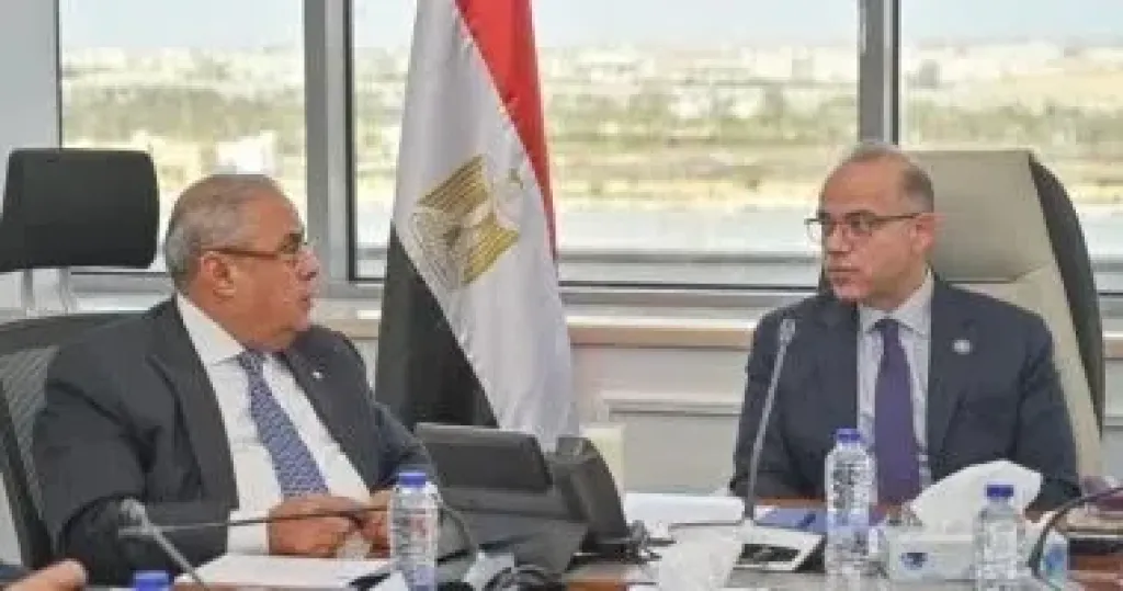 وزير الاستثمار يبحث فرص تعظيم عوائد الأصول والتوسع في أفريقيا