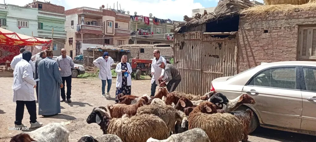 محافظ الدقهلية : تسيير قوافل طبية بيطرية وتقديم الرعاية اللازمة