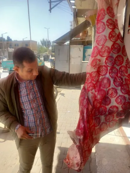 محافظ أسيوط: ضبط أكثر من 5 أطنان أغذية غير صالحة خلال حملات بيطرية