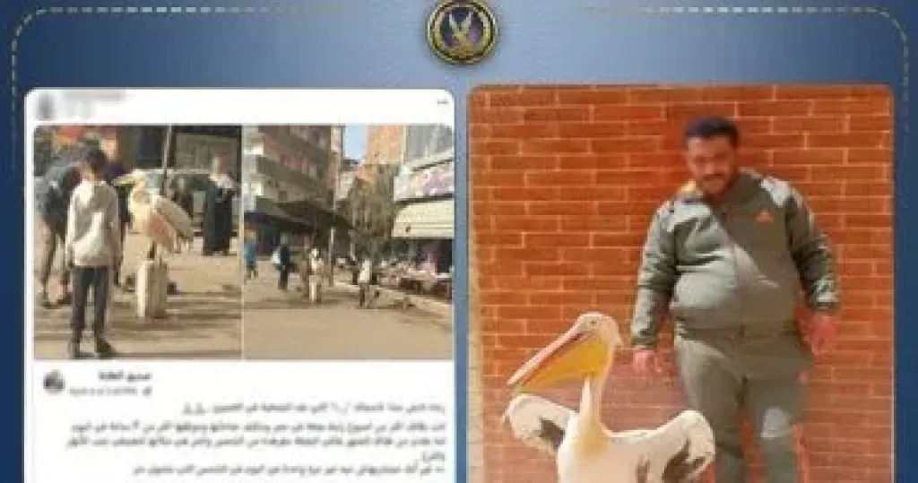 الداخلية تكشف ملابسات تقييد بجعة أمام محل أسماك فى طنطا