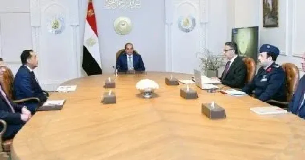 الرئيس السيسى: ضرورة استخدام الدولة لكل آليات ضبط السوق والأسعار