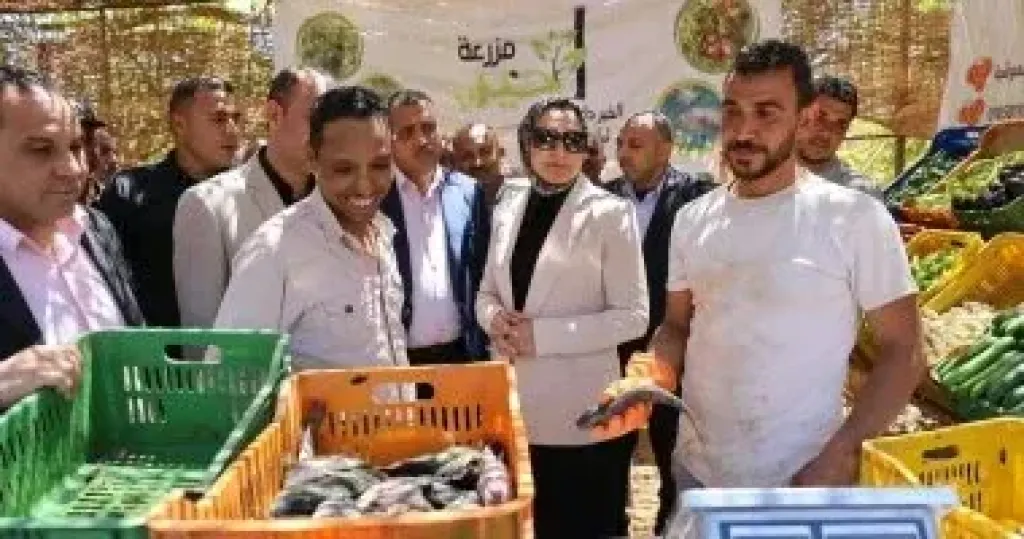 محافظ الوادى الجديد تتفقد مشروعى الاستزراع السمكى والصوب الزراعية بالداخلة