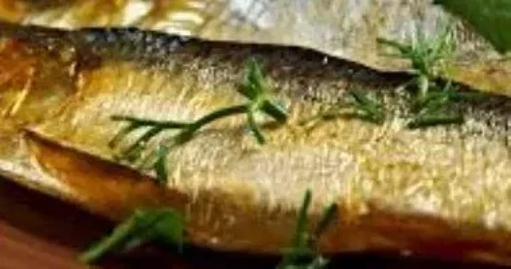 احتفالا بالأعياد.. محافظ الوادي الجديد تتابع جاهزية الحدائق والخدمات بمحيط الكنائس