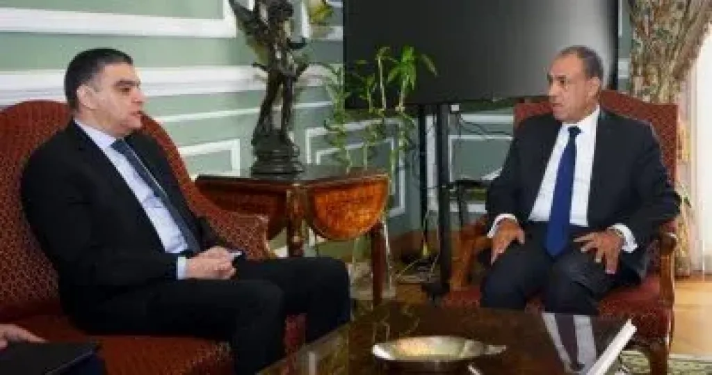وزير الخارجية يبحث مع رئيس هيئة الشراء الموحد دعم نفاذ الدواء المصري لأفريقيا