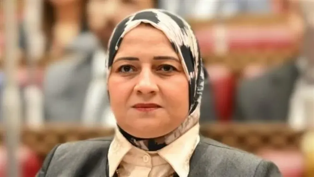 النائبة مروة قنصوة توجيهات السيسى نحو مشروع قانون الأسرة تمثل نقلة نوعية لتحقيق التوازن داخل الأسرة المصرية