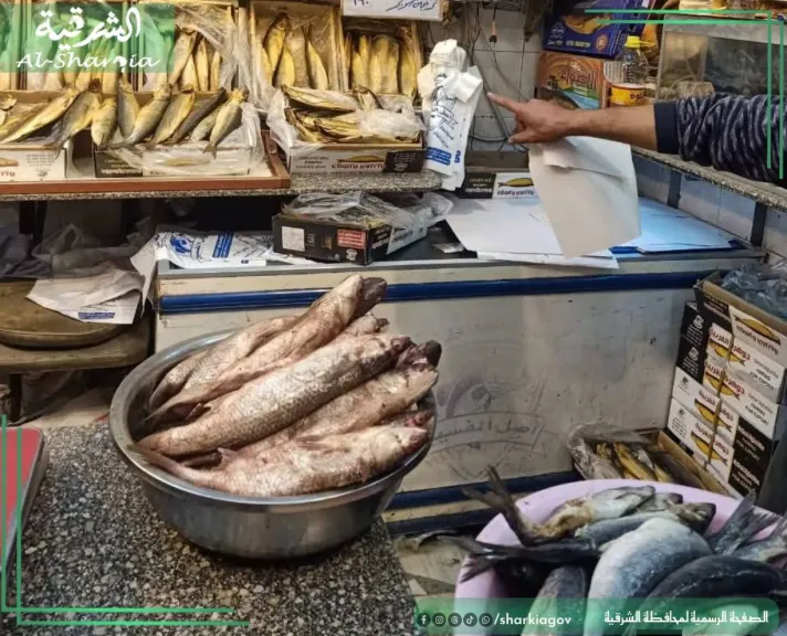 تموين الشرقية  ضبط أكثر من ١٦ طن أسماك مملحة ومدخنة خلال حملات