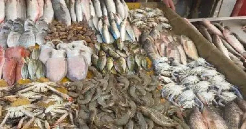 «الزراعة» ترفع درجة الاستعداد لشم النسيم وتكثف الرقابة على الأسماك المملحة