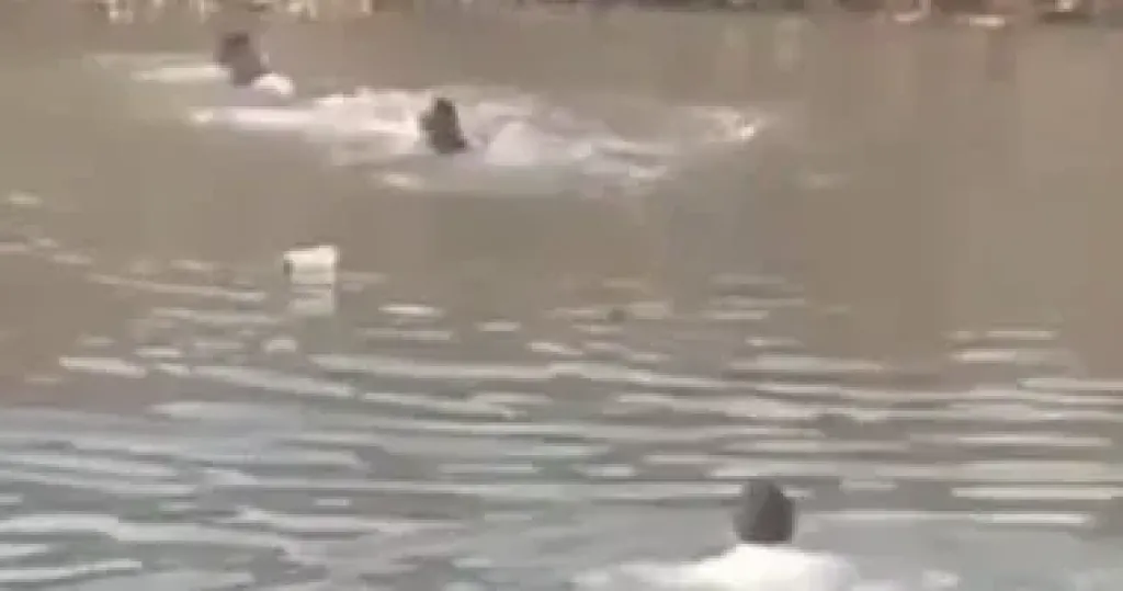 إنقاذ شابين والبحث عن آخر داخل مياه مصيف جمصة