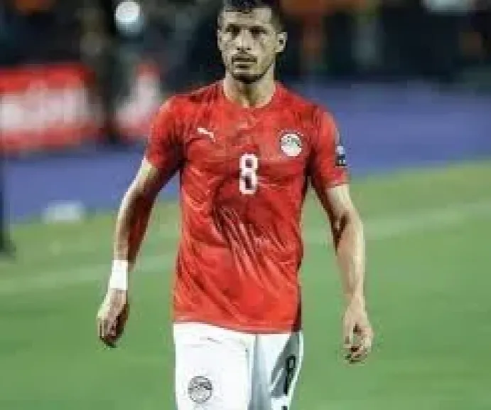 أولى جلسات دعوى طلاق الضرر المقامة من زوجة طارق حامد