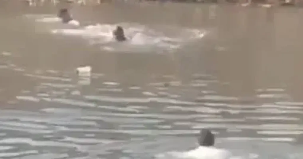 في ظروف غامضة.. شخص يتخلص من حياته في نيل بني مزار شمال المنيا