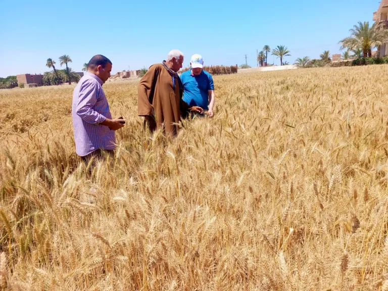 محافظ أسيوط يؤكد دعم المزارعين وتطوير الخدمات الزراعية.. وجولة ميدانية