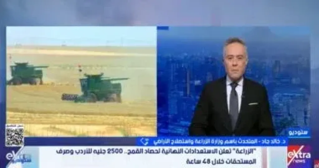 الزراعة: مستهدف توريد 5 ملايين طن قمح فى موسم تاريخى.. وتزف بشرى للمزارعين