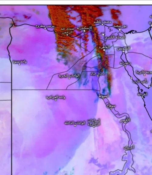 الأرصاد تحذر من انعدام الرؤية في 5 مناطق