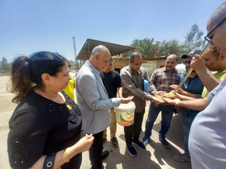 محافظ أسيوط يعلن بدء موسم حصاد القمح 2026 .. وتوريد 387 طنًا في اليوم