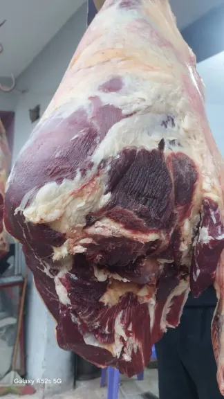 محافظ أسيوط: ضبط 74 كيلو لحوم مذبوحة خارج المجازر الحكومية في حملة تموينية