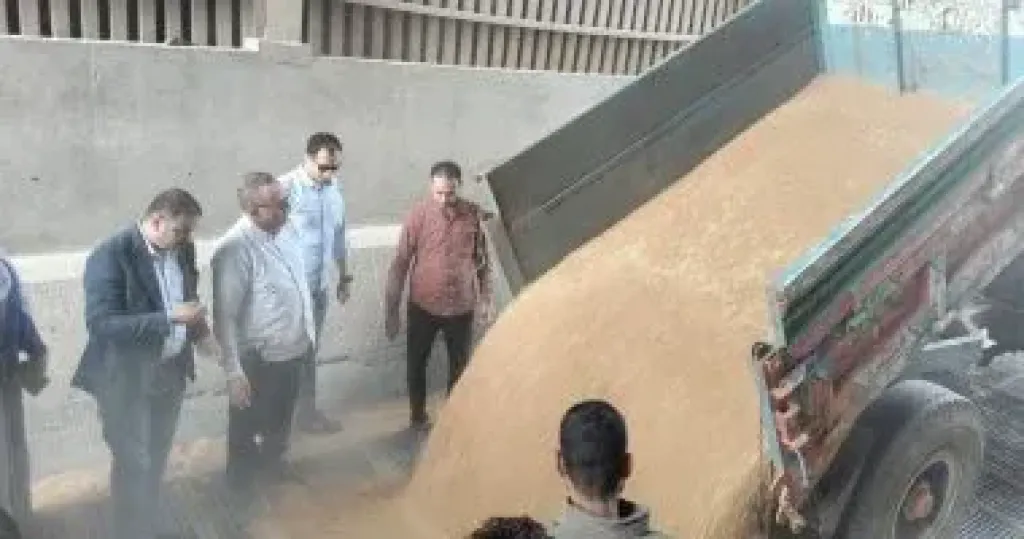 تموين الدقهلية: توريد 682 طن قمح بالمواقع التخزينية حتى اليوم