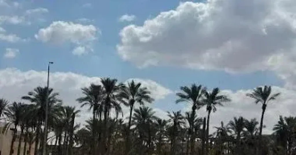 أجواء مائلة الحرارة.. الأرصاد تكشف تفاصيل حالة الطقس وأعلى الدرجات المتوقعة